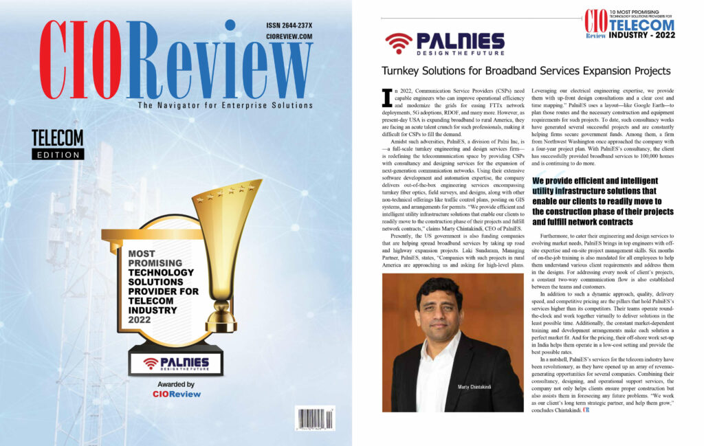 CIO Review PalniES